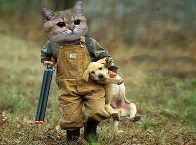 Lustige Gangster Katze und Welpe - Diamond Painting