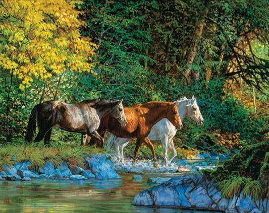 Pferde am Wasserstrom - Diamond Painting