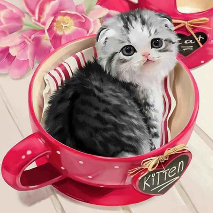 Kätzchen, das in der Teetasse sitzt - Diamond Painting