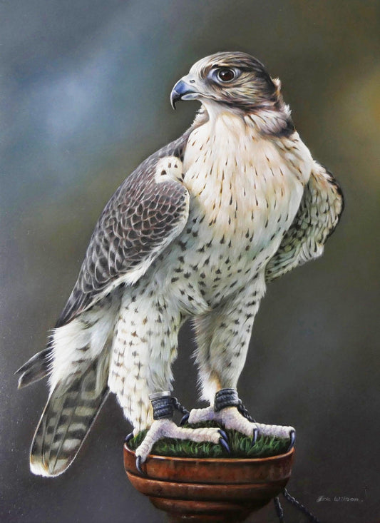 Lanner Falke - Kunst des Eric Wilson - Diamond Painting