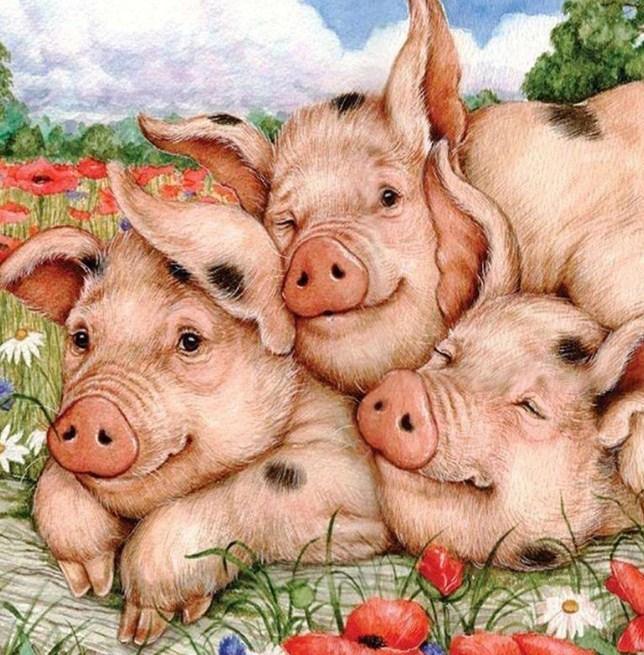 Schweinefamilie - Farbe von Diamanten - Diamond Painting