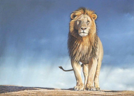 Regenmacher - Kunst des Eric Wilson - Diamond Painting