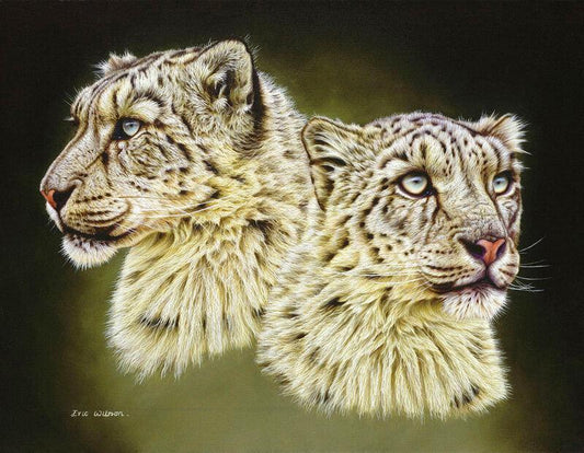 Schneeleoparden - Kunst des Eric Wilson - Diamond Painting