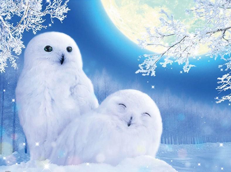 Schneeulen Diamond Painting Kit - Diamond Painting