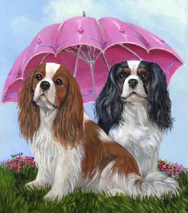 Spaniels Unter Regenschirm - Farbe von Diamanten - Diamond Painting