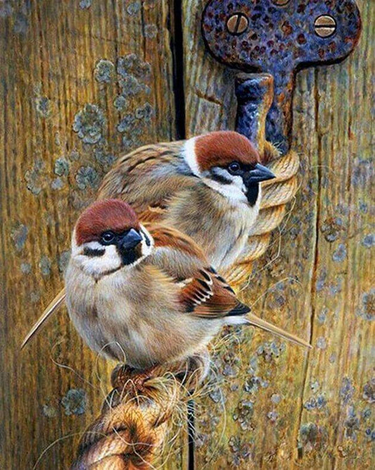 Spatz sitz am Seil - Diamond Painting