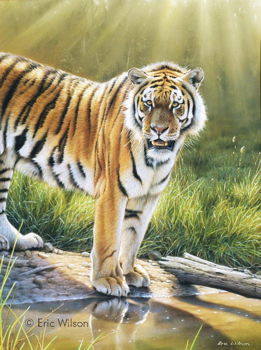 Tiger in Chitwan - Kunst des Eric Wilson - Diamond Painting