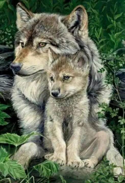 Wolf mit Baby Diamond Painting - Diamond Painting