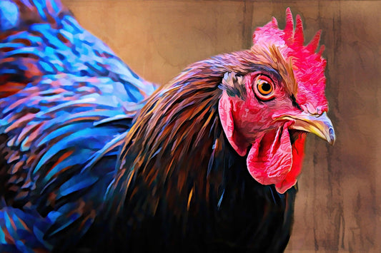 Australorp Huhn - Kunst des Denise Dundon - Diamond Painting