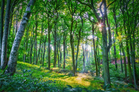 Smaragdwald - Kunst des Denise Dundon - Diamond Painting