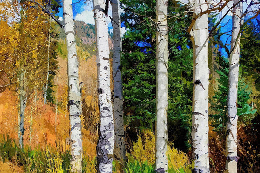 Hillside Aspen Grove - Kunst des Denise Dundon - Diamond Painting