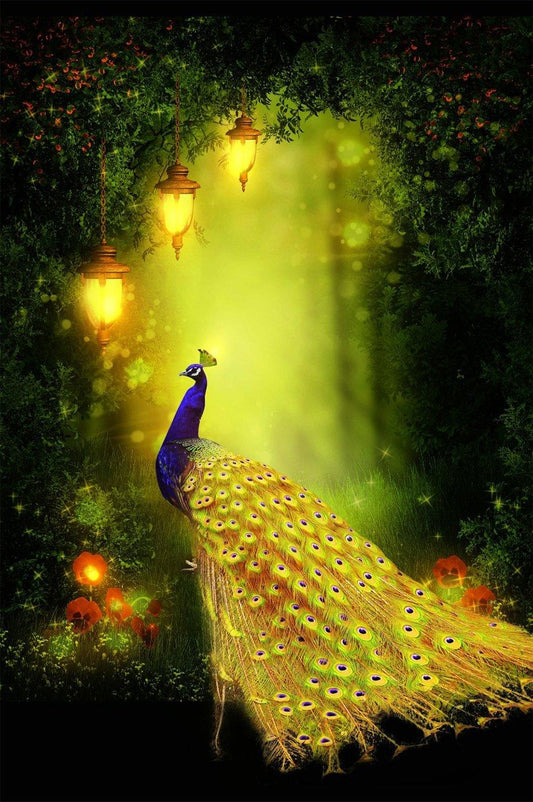 Pfau im Wald Diamond Painting - Diamond Painting